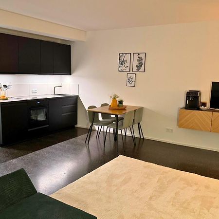 Isaak Apartment Stadtperle Waldshut-Tiengen Buitenkant foto