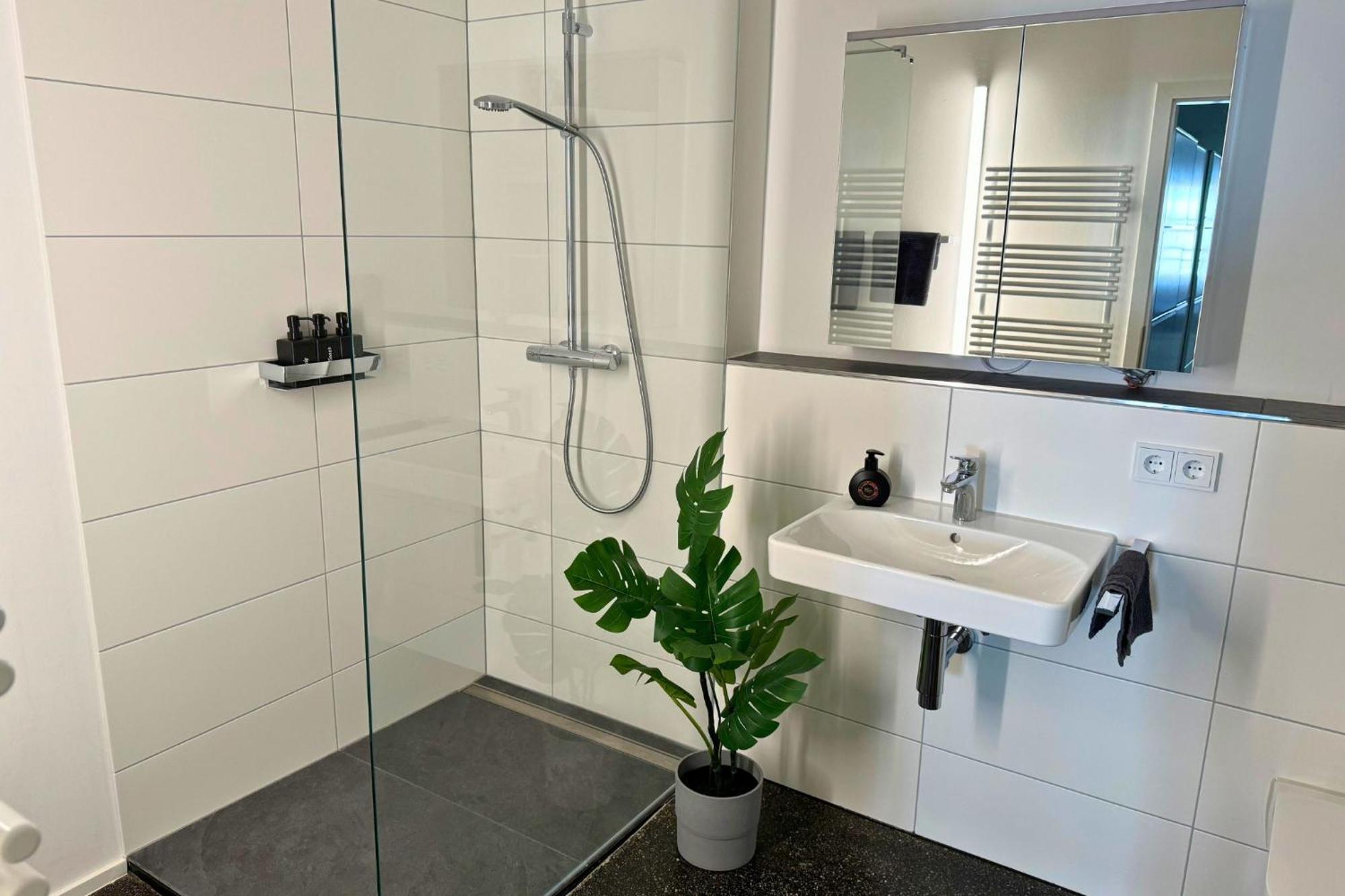 Isaak Apartment Stadtperle Waldshut-Tiengen Buitenkant foto