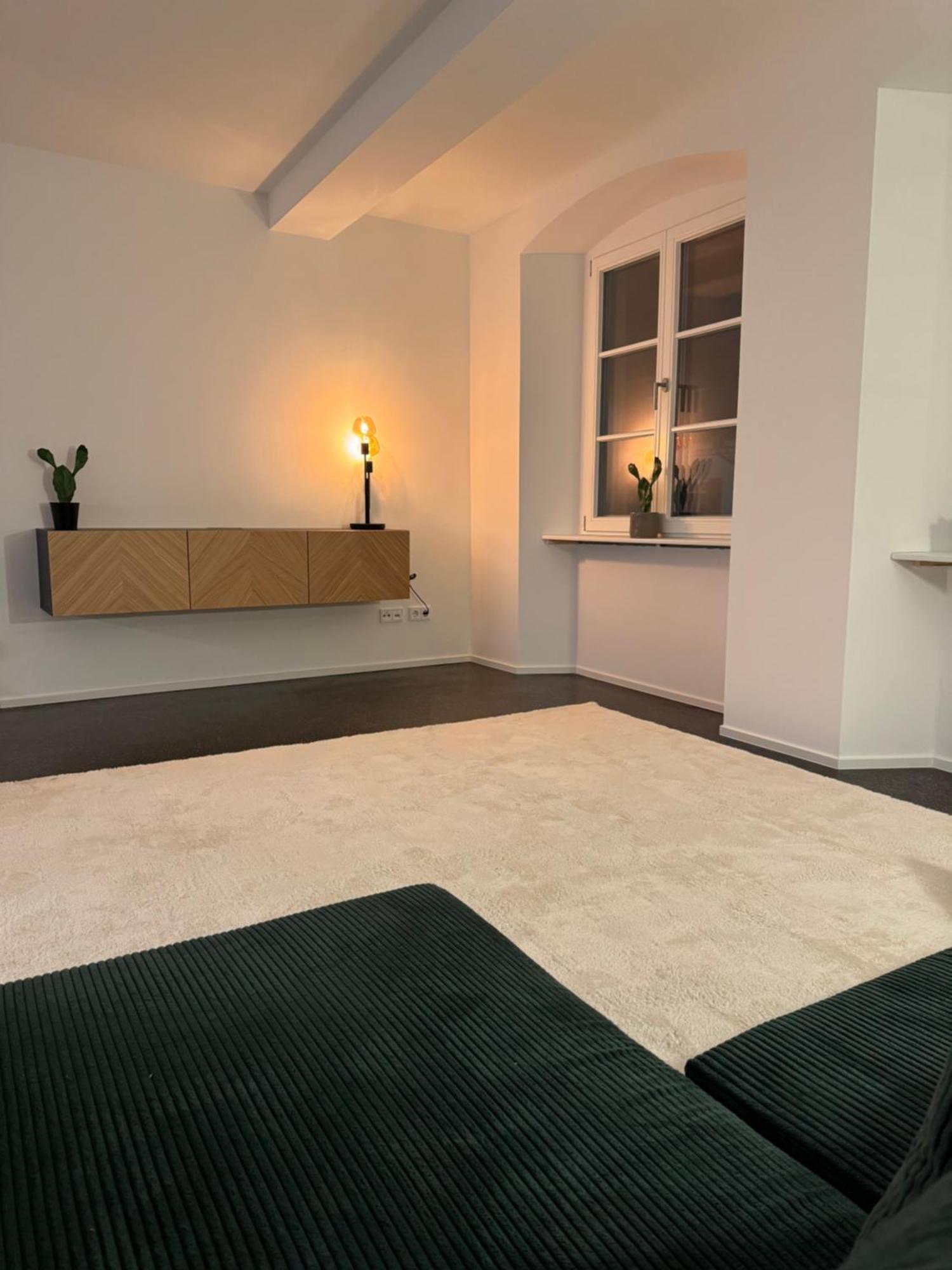 Isaak Apartment Stadtperle Waldshut-Tiengen Buitenkant foto