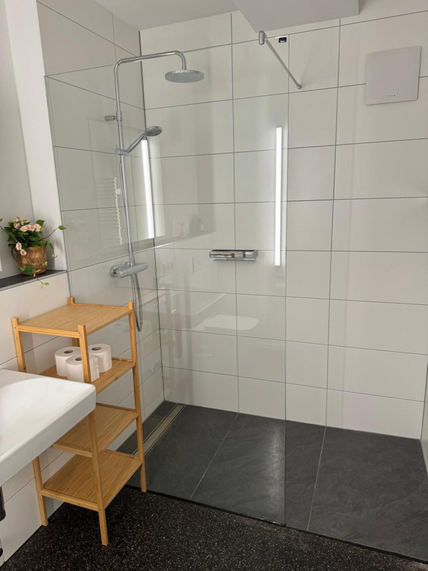 Isaak Apartment Stadtperle Waldshut-Tiengen Buitenkant foto