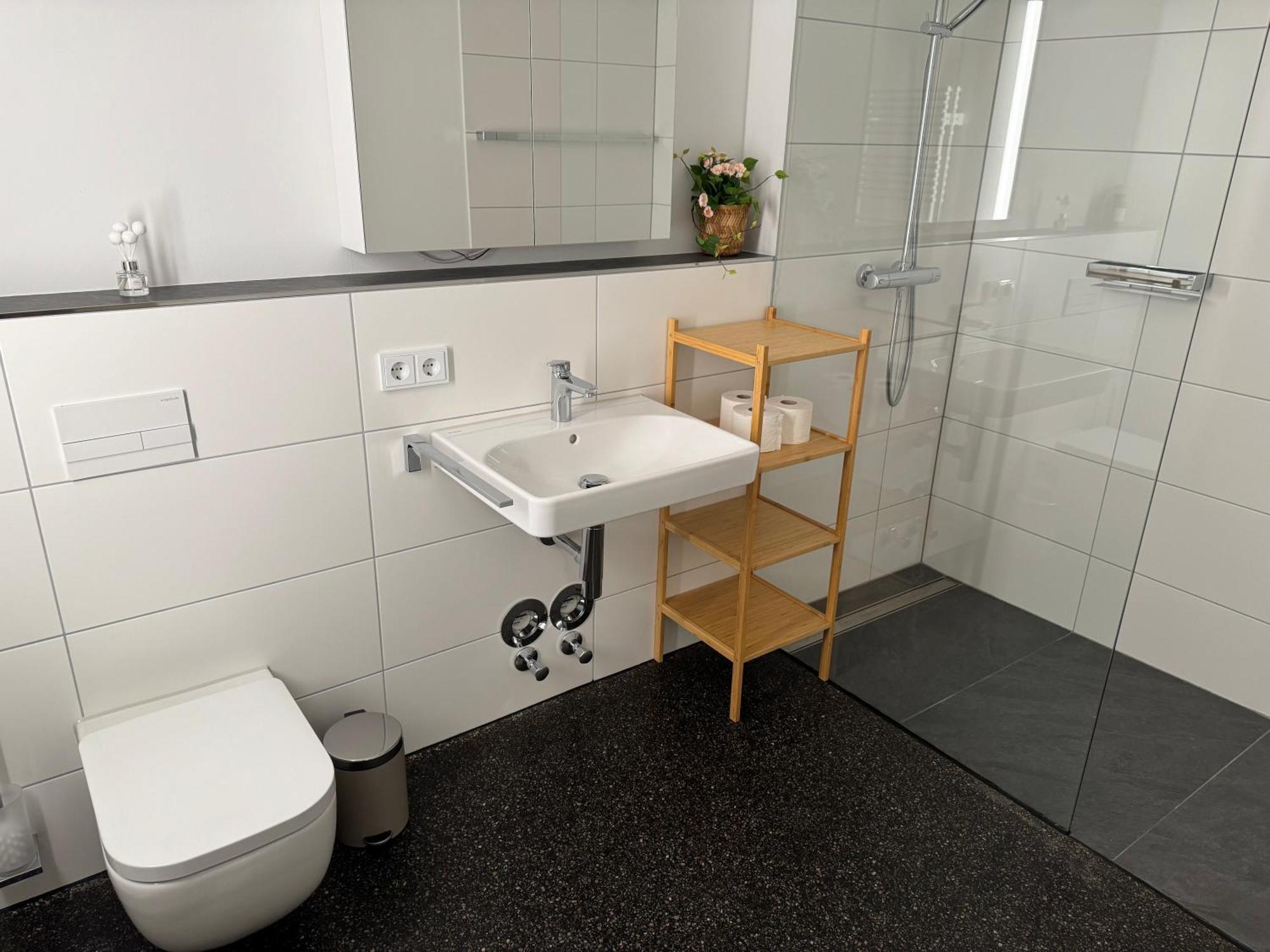 Isaak Apartment Stadtperle Waldshut-Tiengen Buitenkant foto